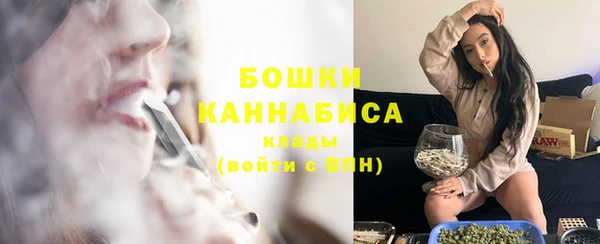 гашик Инсар