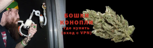 гашик Инсар