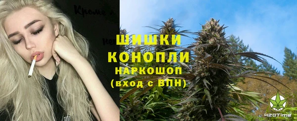 гашик Инсар