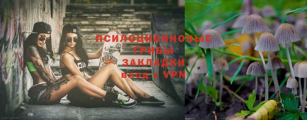 гашик Инсар