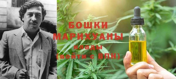 гашик Инсар