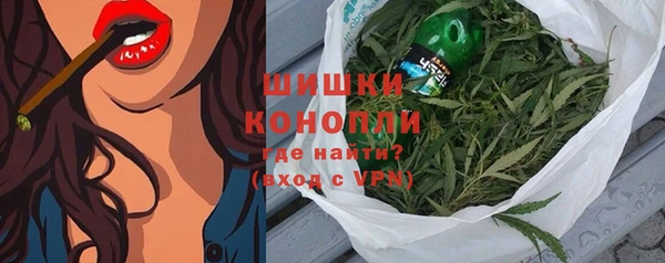 гашик Инсар