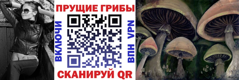 Купить где  Белёв  Галлюциногенные грибы мицелий 